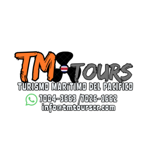 TM Tours