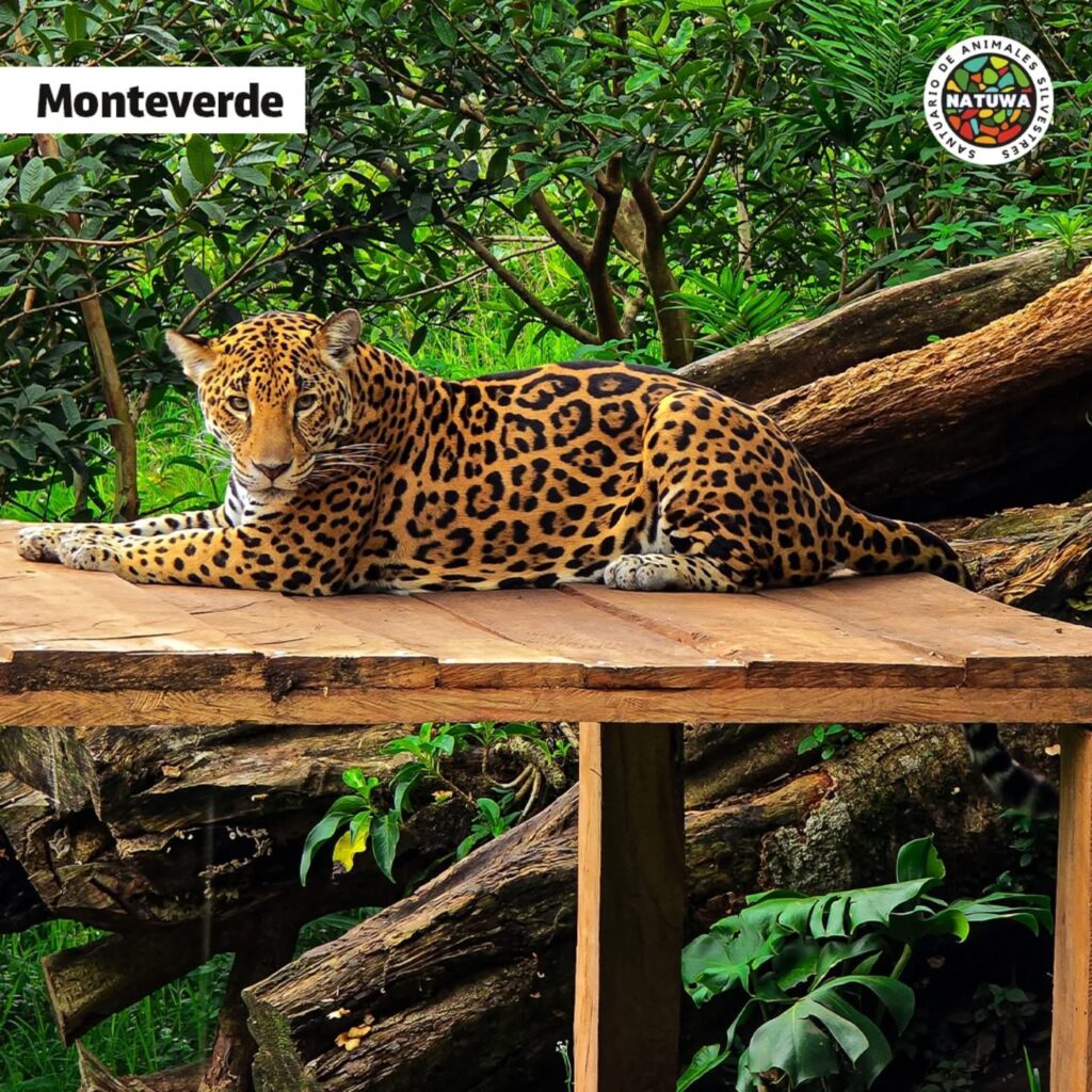 NATUWA, Centro de Rescate y Santuario de Vida Silvestre