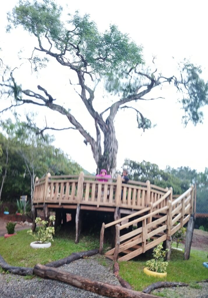 Finca Cabuyal