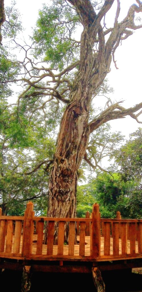 Finca Cabuyal